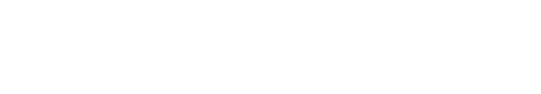 Bradley Acquisition Group